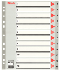 Esselte register PP 1:12, A4 MAXI, grå 